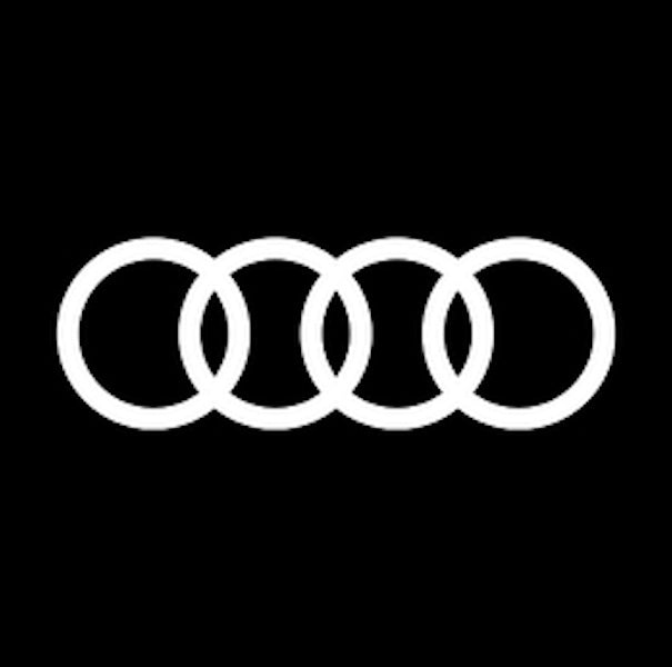 Audi fitment