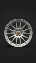 Alpine Silver multi-spoke forged wheel